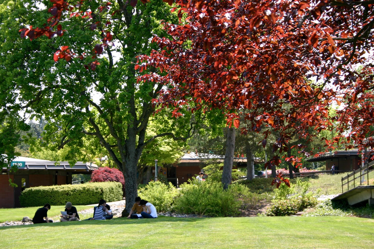 Shoreline Community College